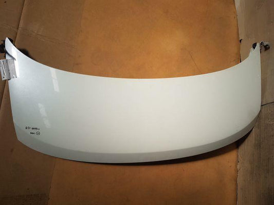 2006 NISSAN ELGRAND E51 BONNET 05/02-12/10 WITH HINGES
